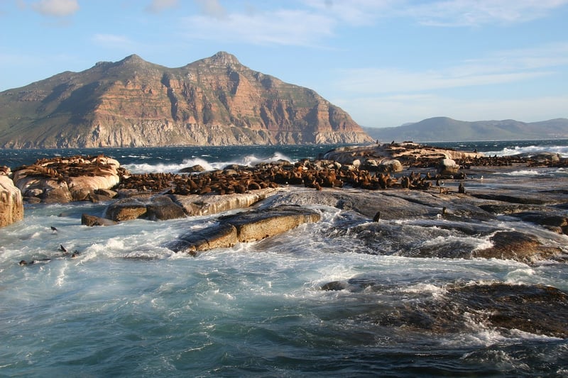 Cape Town Cityscape